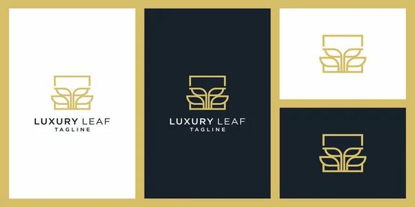 Luxus Blatt Logo Mit Box Frame Elegant Logo Design Vektor — Stockvektor