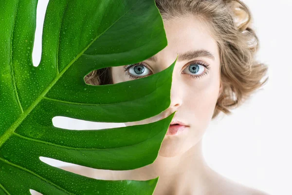 Mükemmel Ciltli Doğal Makyajlı Güzel Bir Genç Kadın Yeşil Yapraklı — Stok fotoğraf