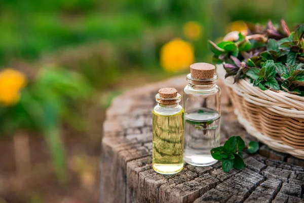 Aceite Menta Esencia Fragante Pequeñas Botellas Con Hoja Menta Sobre —  Fotos de Stock