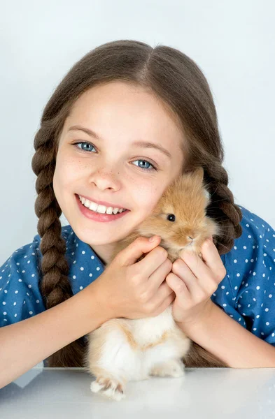 Happy Little Child Girl Cute Rabbit Portrait Kid Pet Light — Stock Photo, Image