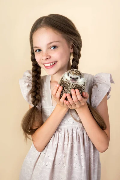 Happy Little Child Girl Cute Hedgehog Portrait Kid Pet Beige — Stock Photo, Image