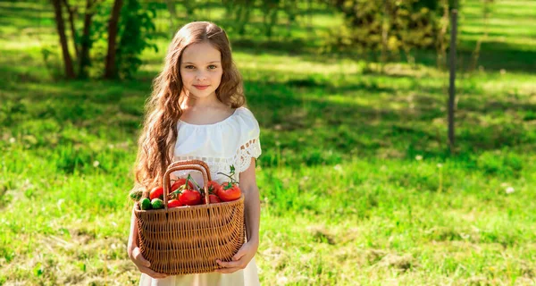 Nettes Lächelndes Kleines Mädchen Hält Korb Mit Tomaten Und Gurken — Stockfoto