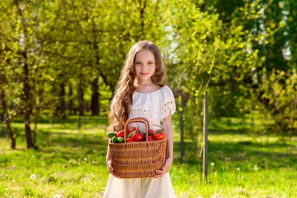 かわいい笑顔の女の子は農場でトマトとキュウリでバスケットを保持しています 果物や野菜の収穫 愛らしい小さな子供の屋外の肖像画 季節ごと — ストック写真