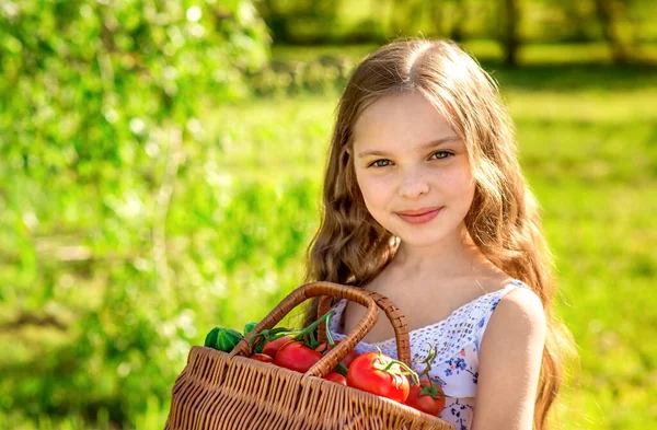 Şirin Gülümseyen Küçük Kız Çiftlikte Domates Salatalık Dolu Sepeti Tutuyor — Stok fotoğraf