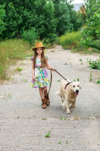 Little Girl Playing Her Big Dog Outdoors Rural Areas Summer — Stock Photo, Image