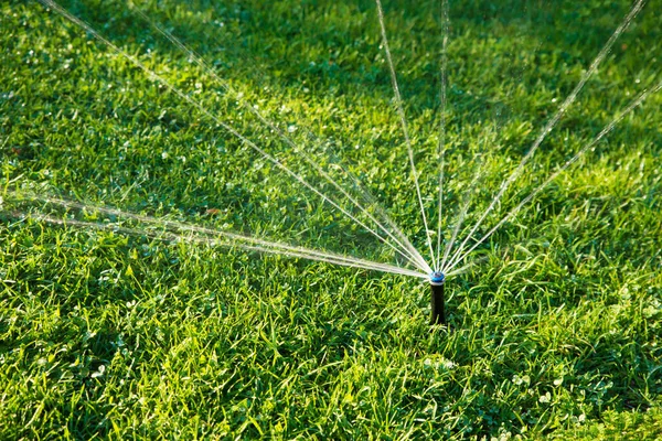 Arrosage Automatique Des Pelouses Jardinage — Photo