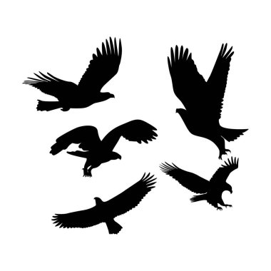 Kartal sineği silueti dizaynı. Yırtıcı kuş sembolü.