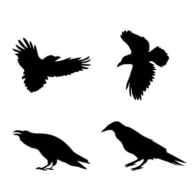 Vahşi kuzgun silueti dizaynı.