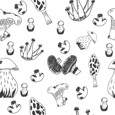 Elle çizilmiş mantar deseni. Vektör illüstrasyonu.