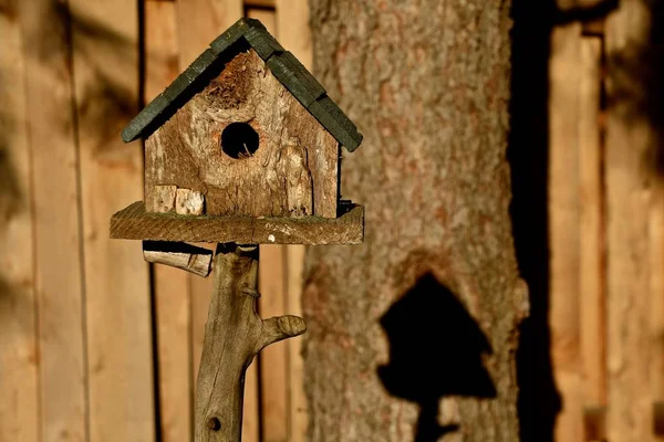 Een Ceder Gebouwd Birdhouse Een Ceder Hek Zoals Het Werpt — Stockfoto