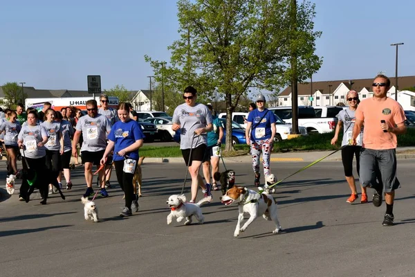 Fargo North Dakota May 2018 Dogs Trainers Owners Participate Furgo — стоковое фото