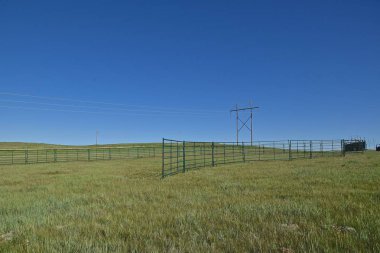 Açık ve sığır için bekleyen bir marka ve kovboy ülkede geçen hafta sırasında taşınabilir corral. 