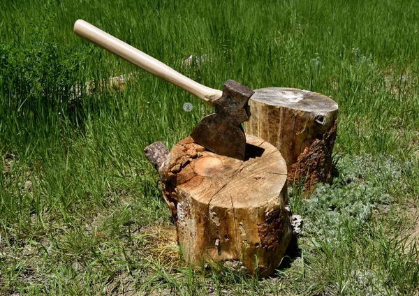 Een Bijl Met Een Houten Handvat Verankerd Een Klauwplaat Van — Stockfoto