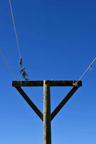 Clothespins Bir Dışarı Asılı Kapı Satır Bir Parlak Mavi Gökyüzü — Stok fotoğraf