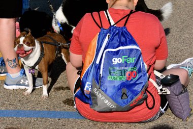 Fargo, Kuzey Dakota-Mayıs 15, 2018: köpekler ve eğitmenler/sahipleri katılmak yıllık Fargo da içeren bir cyclothon, maraton devam etmekte olan Furgo köpek yarışta gençlik, 5k, 10 k, yarım ve tam çalışır.