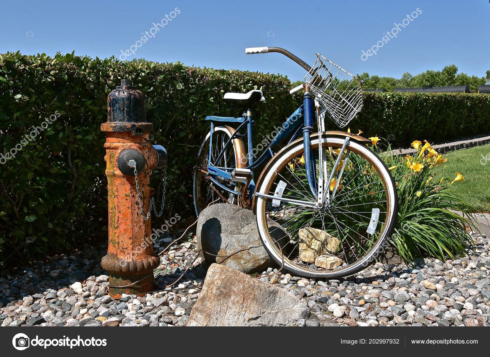 Old Retro Bicycle Parked Alongside Old Fire Hydrant Serves Yard