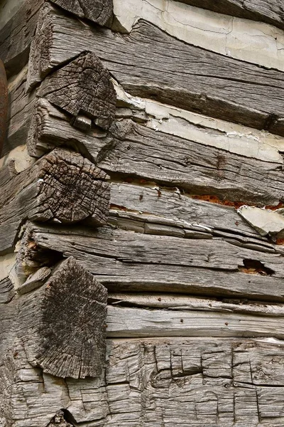一个老木屋揭露风化木原木的缺口角 黑白相间 — 图库照片
