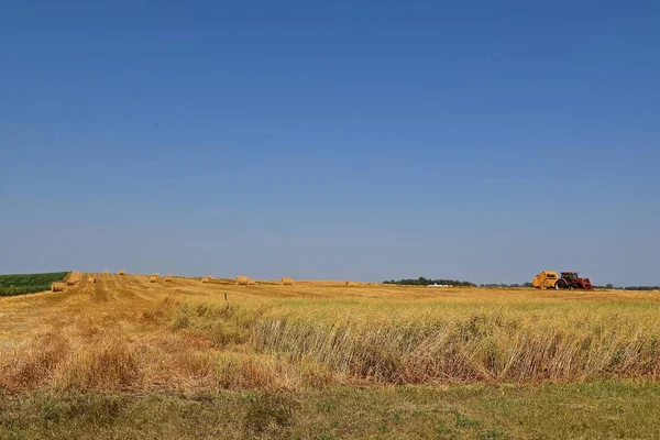 绿色燕麦 收获燕麦 和打包燕麦都显示在一个领域 — 图库照片