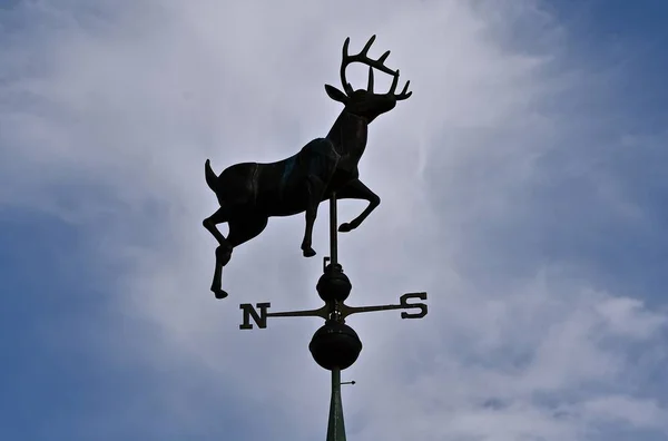 Une Girouette Avec Cerf Bois Est Silhouettée Dans Ciel — Photo