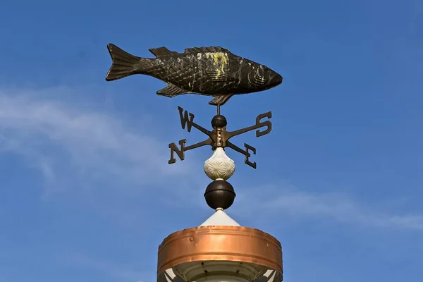 A wind vane with a large fish  anchored to a cupola is silhouetted n the sky