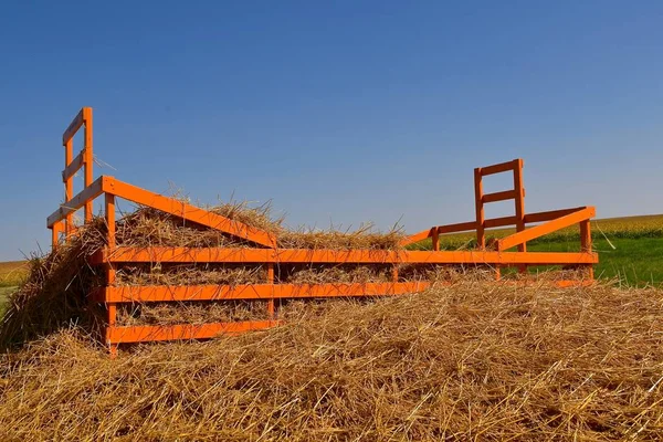 Orange Hay Rack Partially Buried Freshly Blown Straw Threshing Machine — Stock Photo, Image