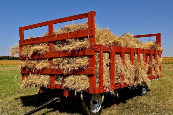 Wagon Rouge Chargé Grappes Blé Est Prêt Être Envoyé Par — Photo