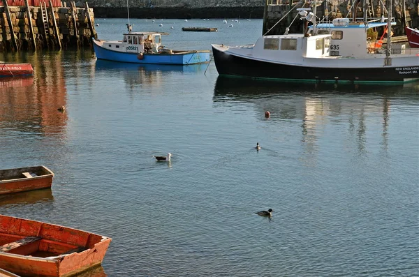 Motif Number Fishing Shack Built 1840 Rockport Massachusetts Usa Most — стоковое фото