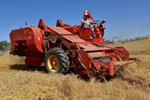 Rollag Minnesota September 2018 Old Maaey Harris Self Propelled Combine — Stock Photo, Image