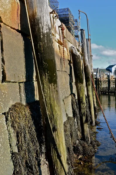 Una Parete Mare Durante Bassa Marea Esporre Scale Pali Legno — Foto Stock