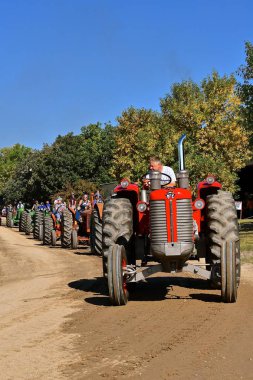 Rollag, Minnesota, 2 Eylül 2018: Eski bir Massey Ferguson traktör geri ve günlük Wcstr çiftlik Harman Rollag reunion nerede binlerce katılmak her İşçi Bayramı hafta sonu düzenlenen törende, işleç yer aldığı.