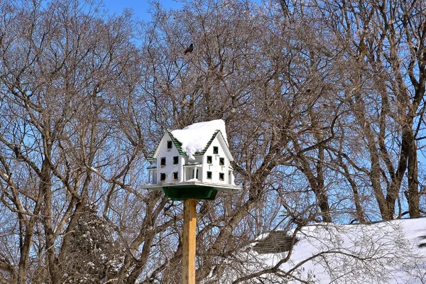 Een Appartement Drie Niveau Birdhouse Heeft Een Sneeuw Bedekte Dak — Stockfoto