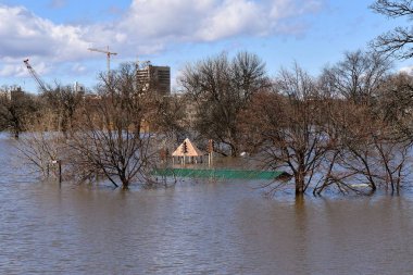 Bir kentsel ortamda nehir üzerinde sular altında bir şehir parkı bir piknik barınak sadece bir çatı bırakarak sel. 