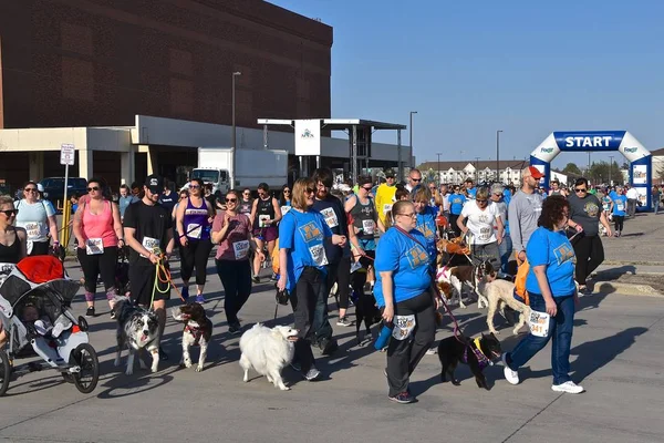 Fargo North Dakota May 2019 Dogs Trainers Owners Participate Furgo — стоковое фото