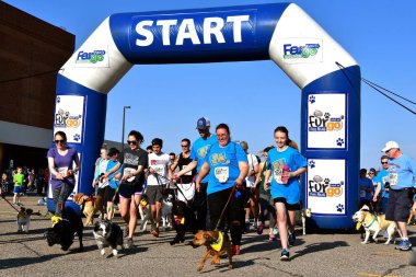 FARGO, NORTH DAKOTA-May 13, 2019 : Dog racers at the Furgo competition start the race at the annual Sanford Fargo Marathon which includes a cyclothon, dog race, youth, 5K, 10K, half, and full runs. clipart