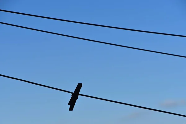 Ensam Klädnypa Silvers Ats Mot Den Blå Himlen — Stockfoto