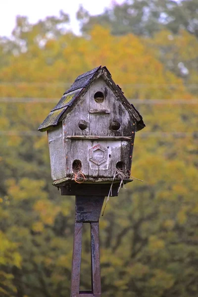 Een Oud Verweerd Meerhuids Vogelhuisje Met Een Dakpannen Dak Aan — Stockfoto