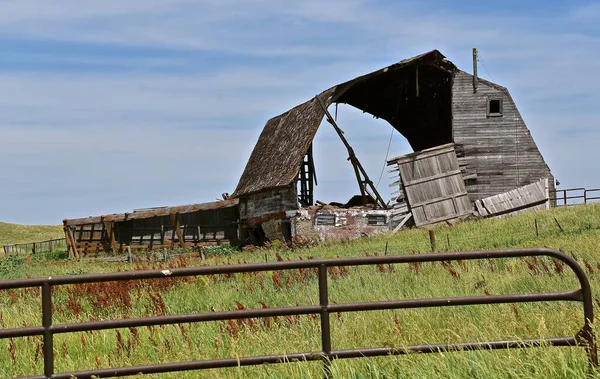非常に古い納屋が腐敗していて 金属製の門の隣に荒廃した状態にあり 過去の酪農場の記憶を呼び戻す — ストック写真