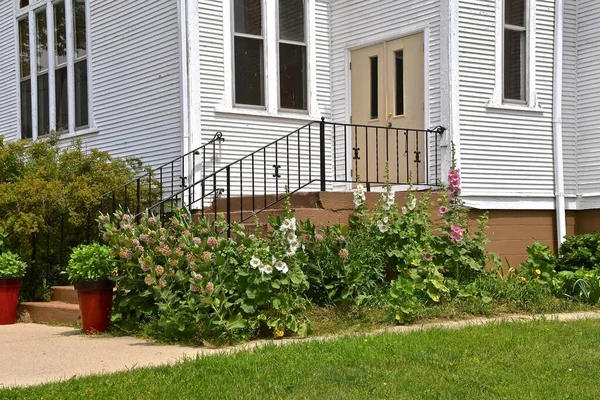 Hollyhocks Entourent Entrée Une Vieille Église Campagne Blanche — Photo