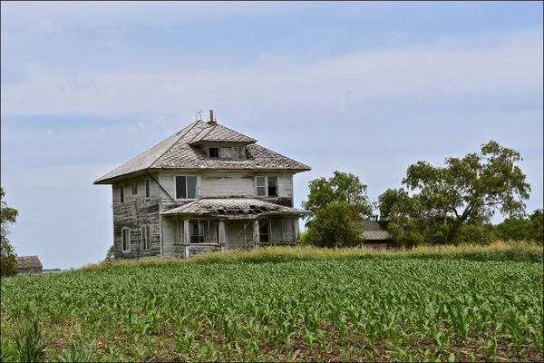 Величезна Стара Покинута Ферма Гниє Полі Оточеному Зростаючим Кукурудзяним Полем — стокове фото
