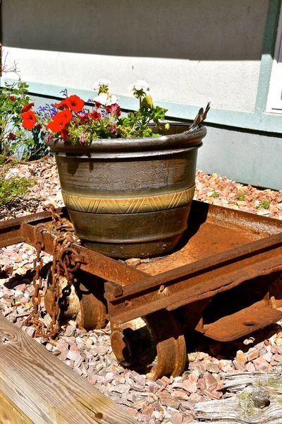 Een Enorme Bloempot Vol Prachtige Bloeiende Bloem Rust Een Roestige — Stockfoto