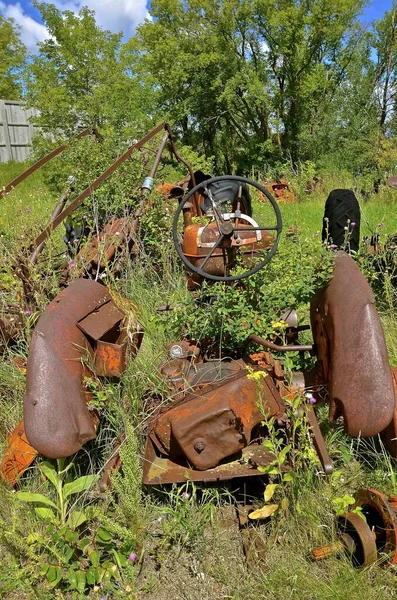 Остатки Части Старого Ржавого Трактора Торчат Зеленой Листвы Растений — стоковое фото