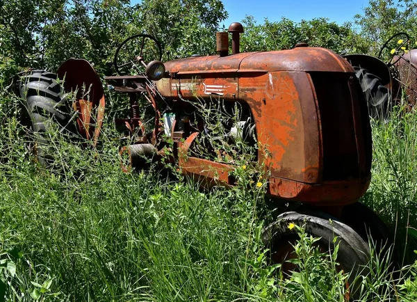 Cockshutt Était Grand Fabricant Tracteurs Machines Connu Sous Nom Cockshutt — Photo