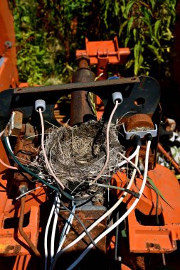 Eski bir traktör iskeletinin kalıntıları. Bir sürü eksik parça bir ot tarlasında ve bir kuş yuvasına bırakılmış.