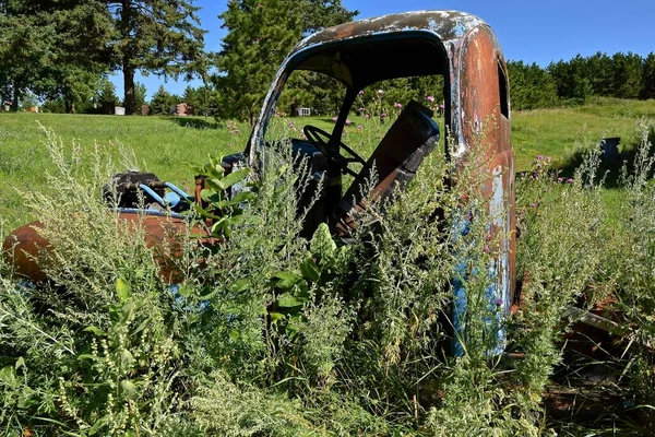錆びた古いトラックのタクシーは雑草やアザミによって部分的に隠されています — ストック写真