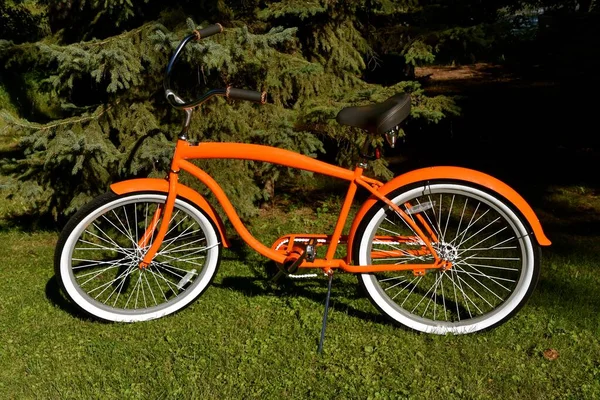 Bright Orange Retro Styled Bicycle Parked Evergreen Trees — Stock Photo, Image