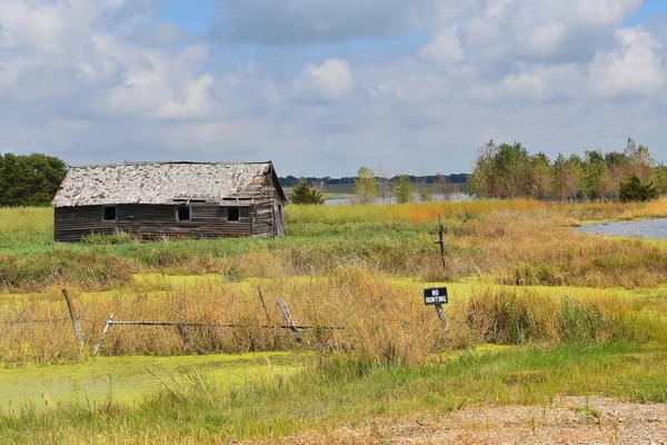 An old wood shed located a marshy setting is protected by a NO HUNTING sign.