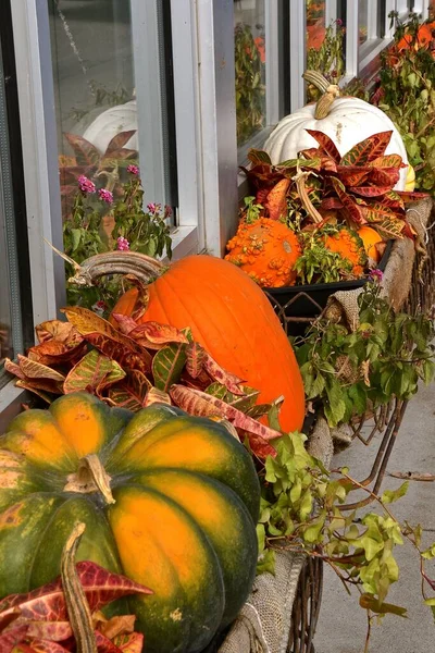 Brillante Colorida Variedad Calabazas Utilizadas Para Decoraciones Frente Ventana — Foto de Stock