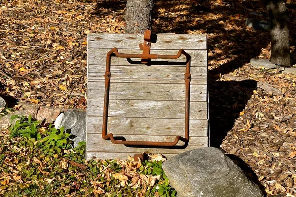 Una Vieja Puerta Madera Para Silo Concreto Deja Apoyada Árbol —  Fotos de Stock