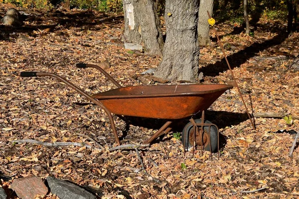 Vieja Carretilla Oxidada Izquierda Los Bosques Otoño Dispersos Con Hojas — Foto de Stock