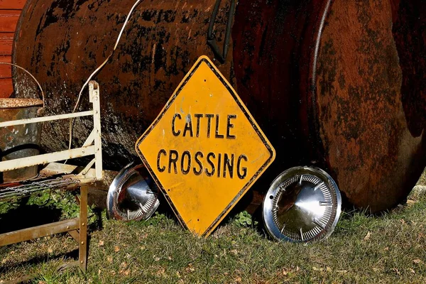 Vecchio Cartello Informativo Indica Cattle Crossing Viene Lasciato Terra Con — Foto Stock